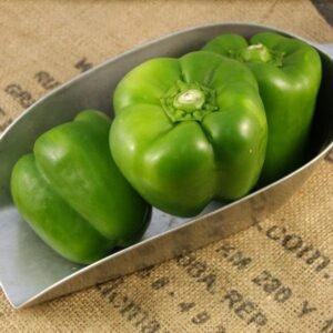 Green Pepper