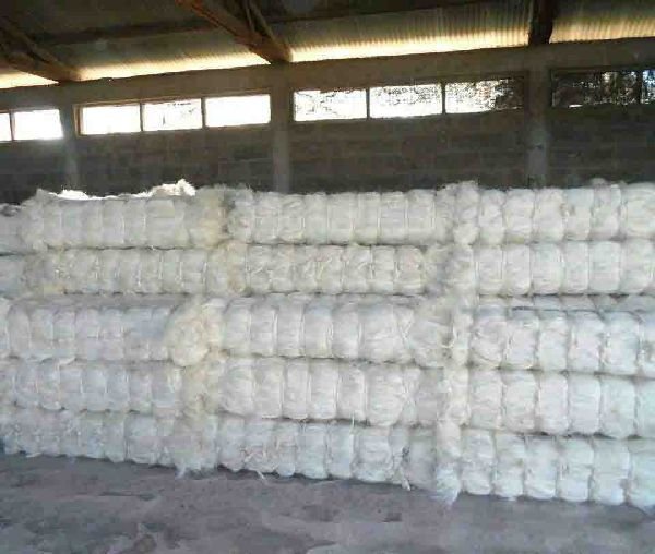 Sisal Fiber Grade UG