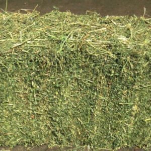 LUCERNE HAY