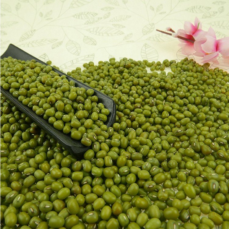 Green Mung Beans for sale