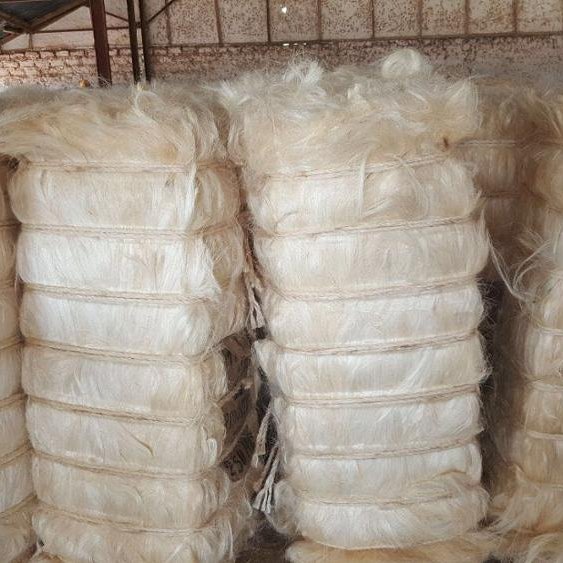 Sisal Fiber for sale